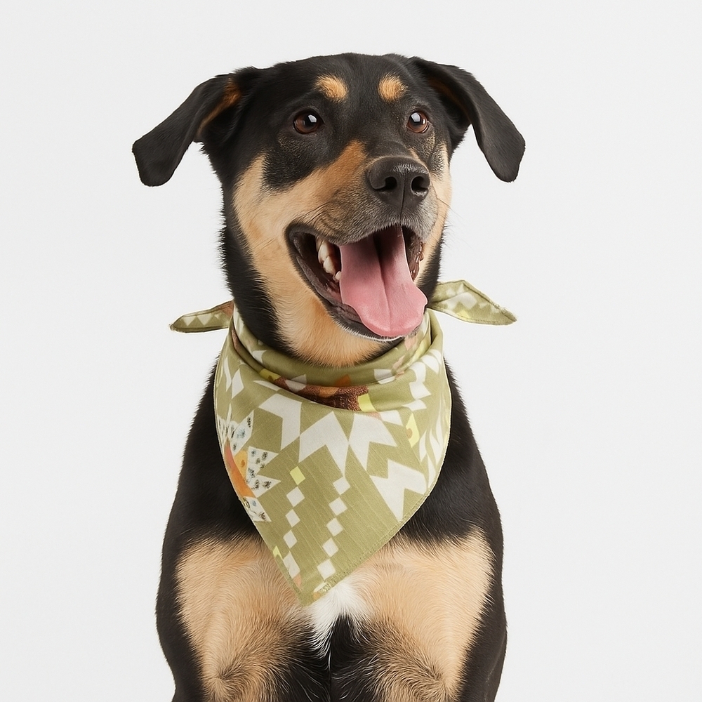 Boots & Barkley Green Vintage Star Print Bandana